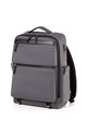 SOMERVIL BACKPACK  hi-res | Samsonite